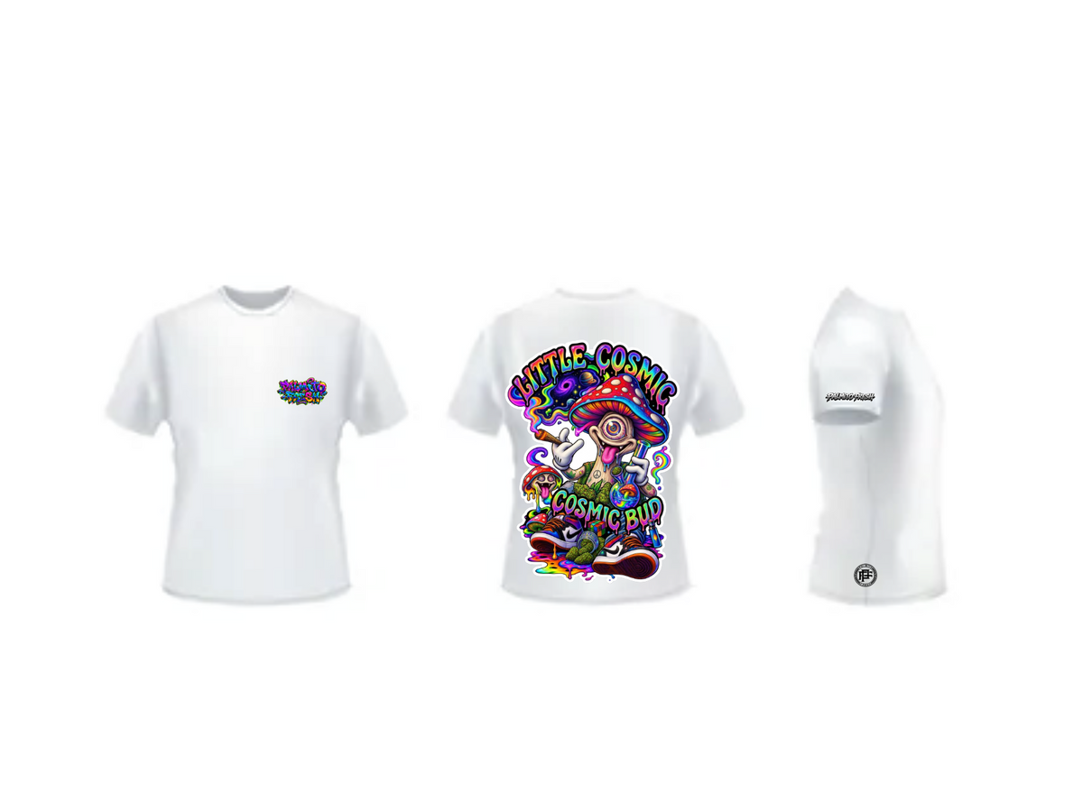 Colección de fin de verano